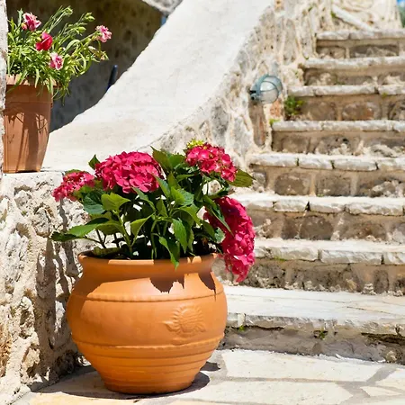 Daire Gkountis Deluxe King 2 Lefkáda